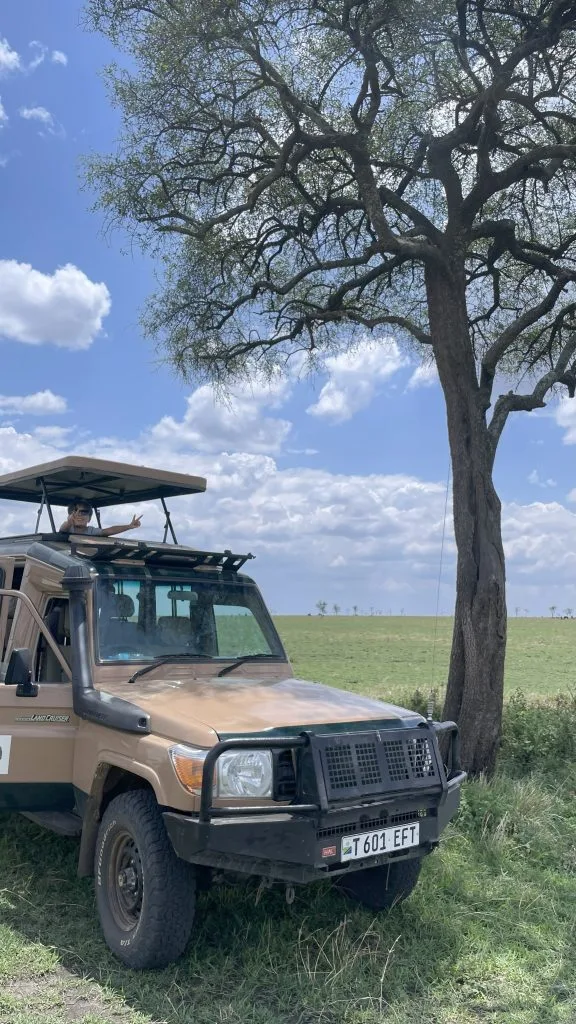 serengeti tanzania safari