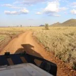 safari guide serengeti ngorongoro big five