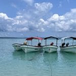 zanzibar honeymoon safari