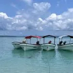 zanzibar honeymoon safari